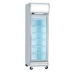 Display Freezer