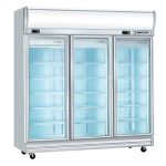 Dual Display Chiller & Freezer - Image 2